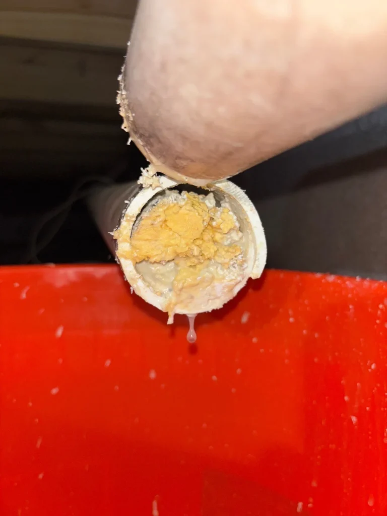 Section of kitchen drain line cut out packed solid with grease in Old Hickory