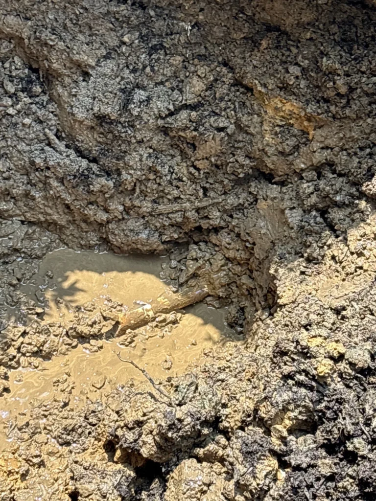 Commercial Plumbing in Nashville