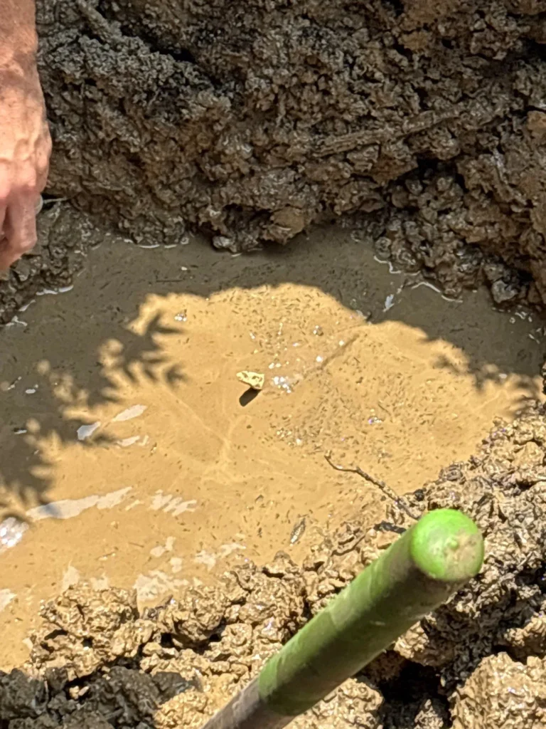 Commercial Plumbing in Nashville