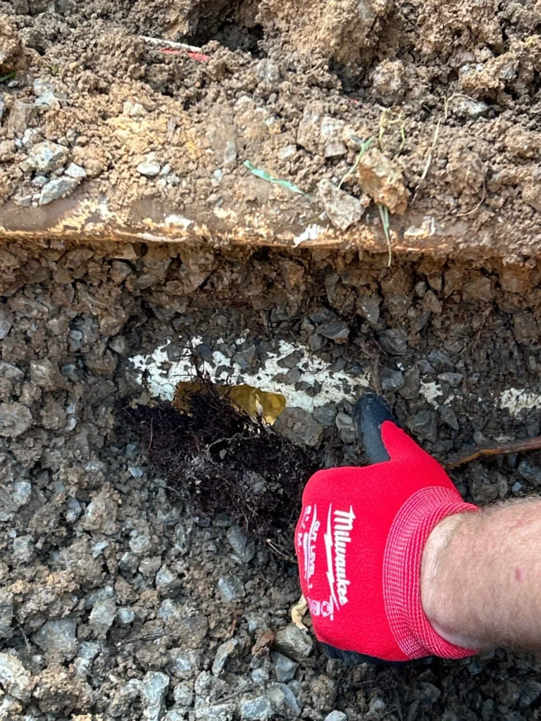 Sewer Line Repair in Brentwood