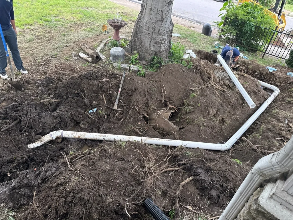Open trench with a new sewer line run around a mature tree in Nashville