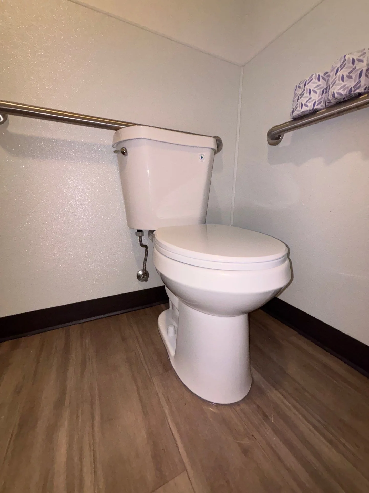 Toilet Flange Repair in Green Hills