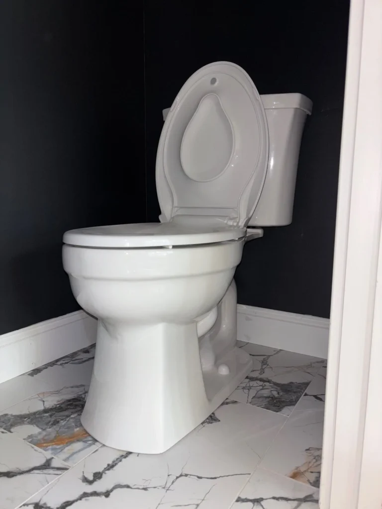 Toilet Repair & Install