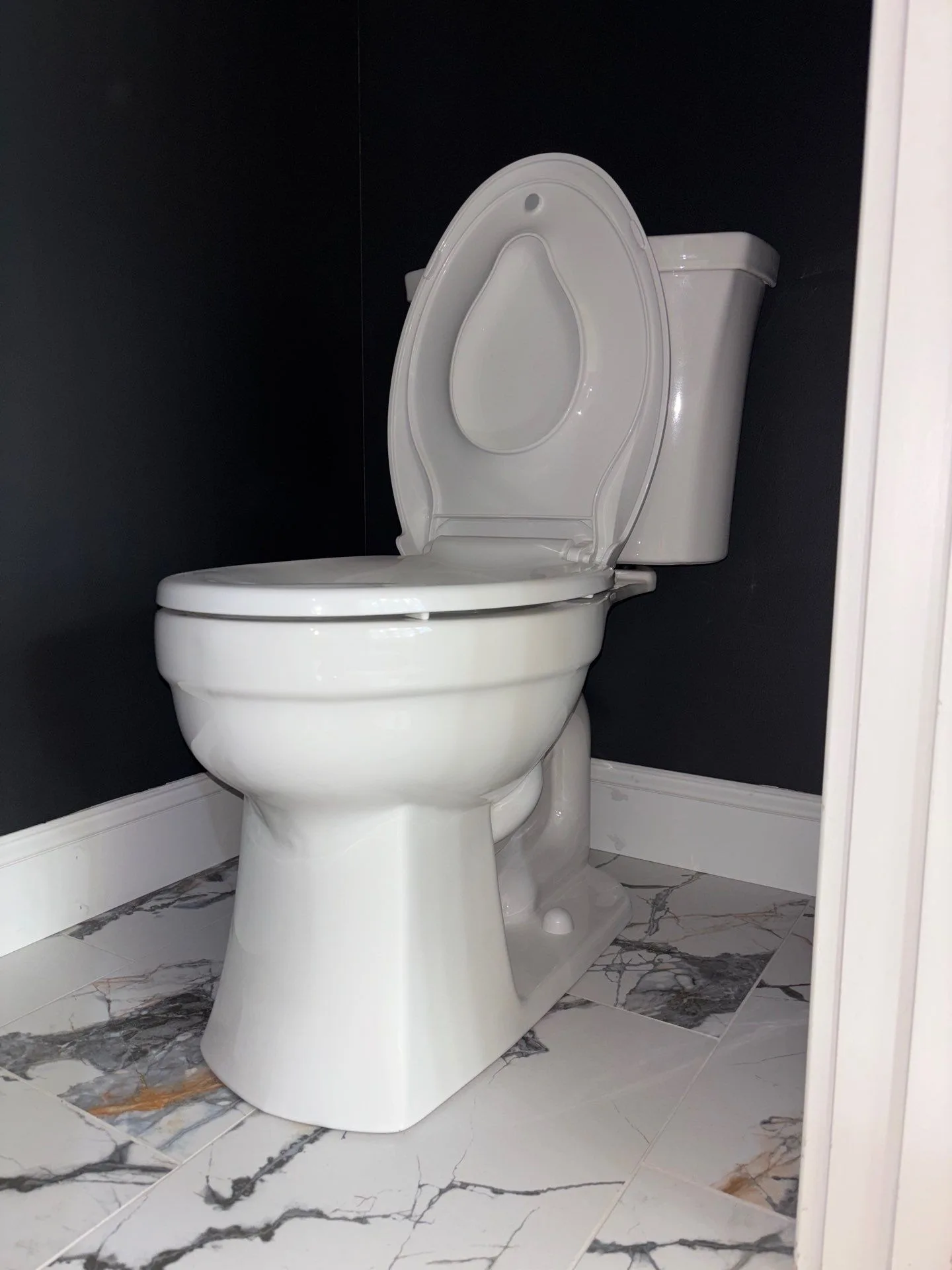 Toilet Repair & Install in Mount Juliet