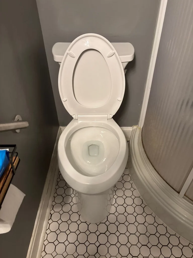 Toilet reset on a new wax ring in Hendersonville