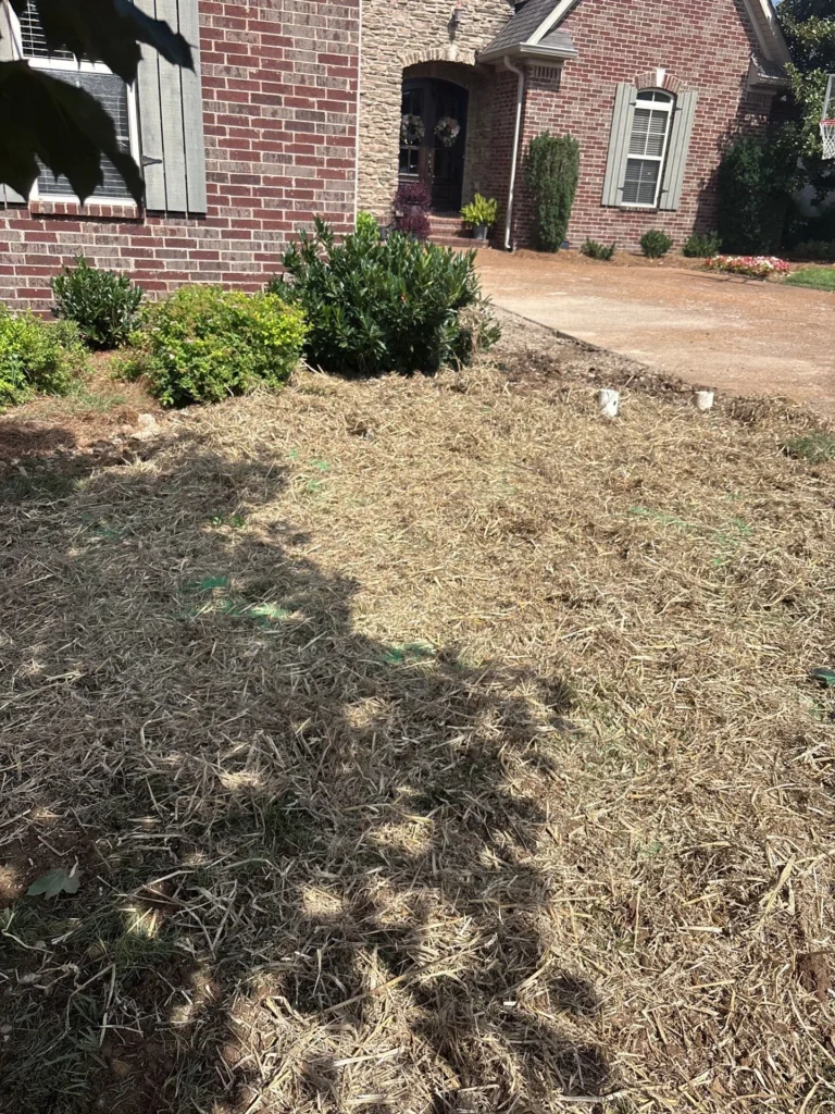 Drain Line Replacement