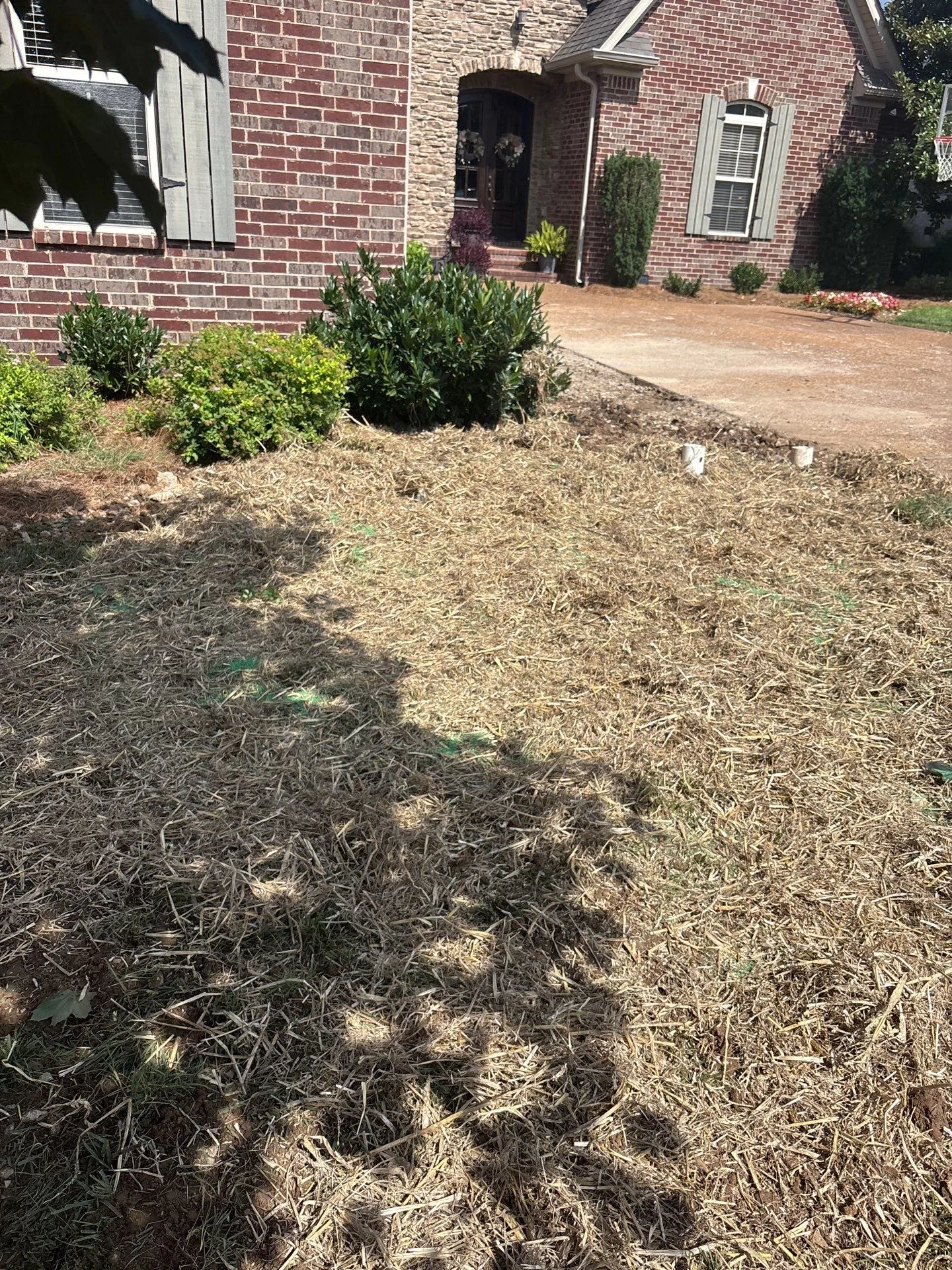 Drain Line Replacement in Hendersonville