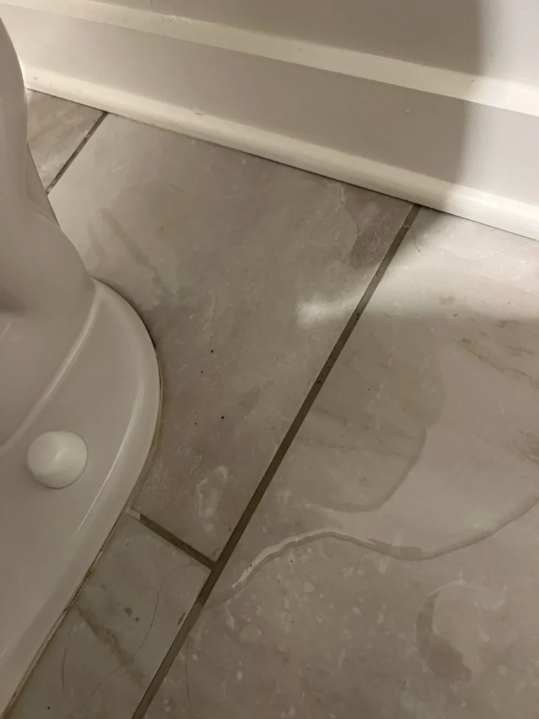 Toilet Repair & Install
