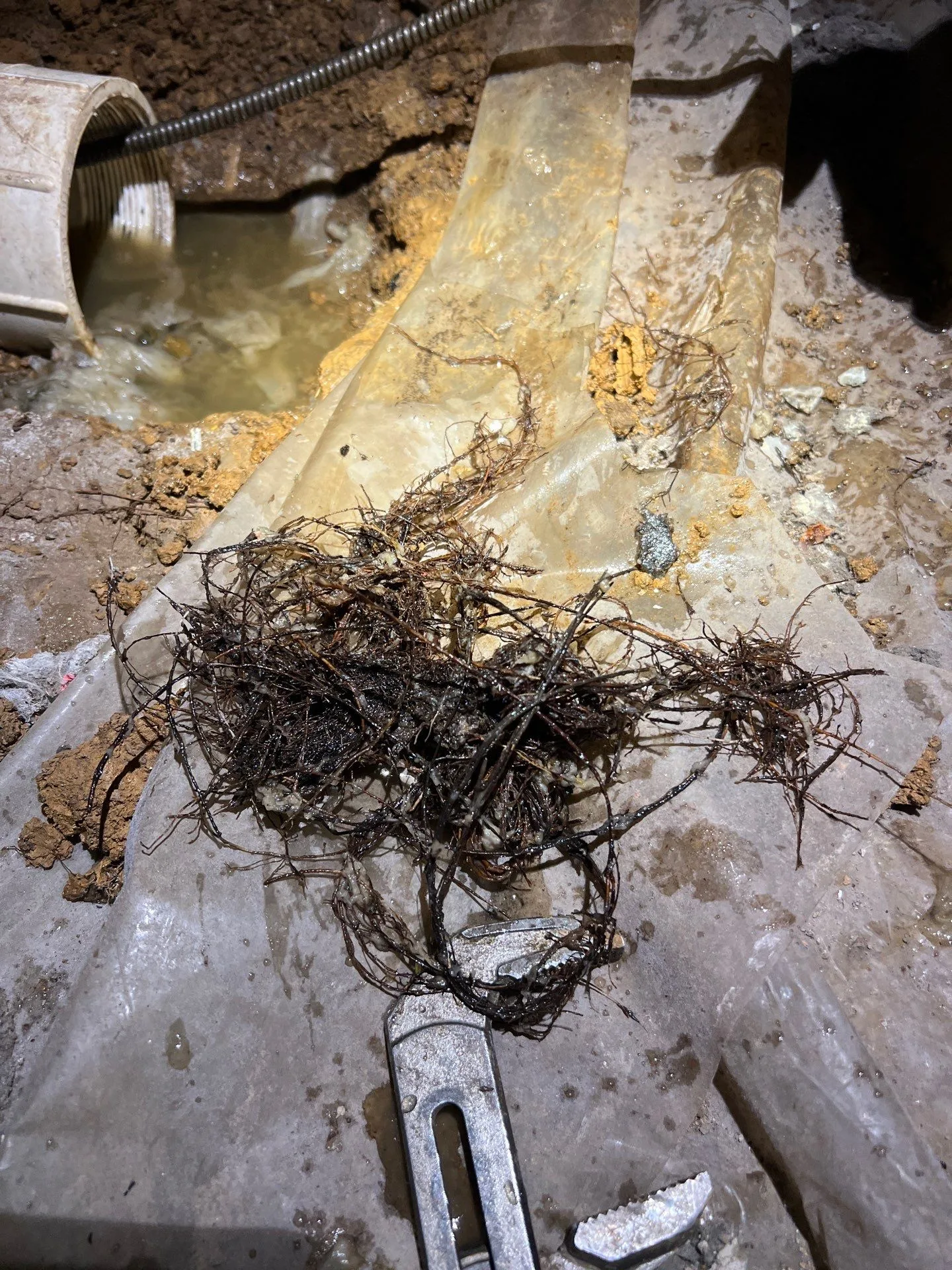 Drain Cleaning in Brentwood