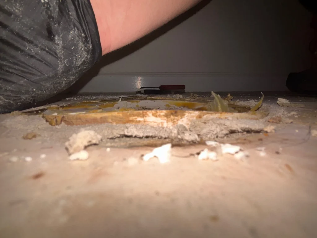 Toilet Repair & Install in Nashville