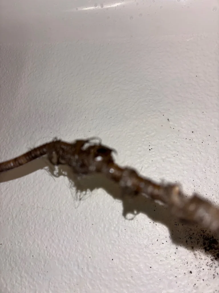 Drain Cleaning in Nolensville