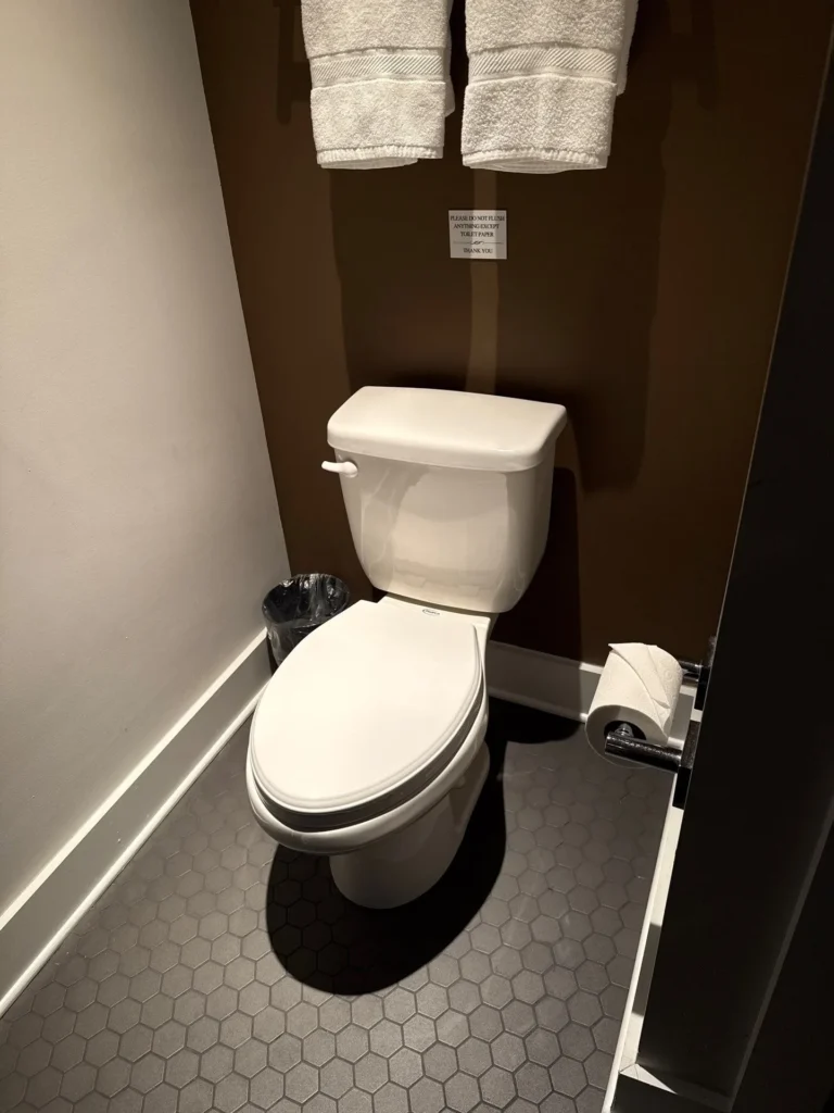 Toilet replaced and reset in a Sylvan Park bathroom