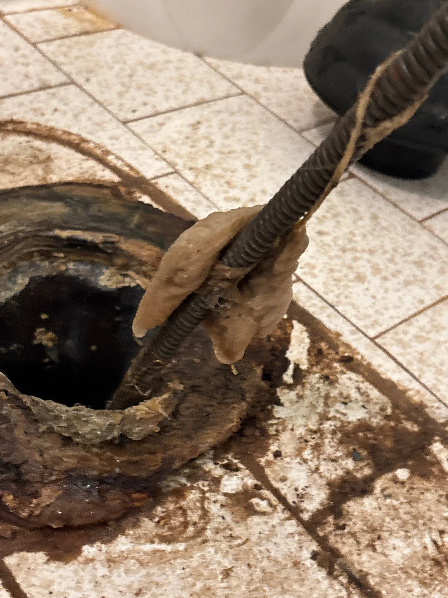 Sewer Clean-Out Installation in Belle Meade