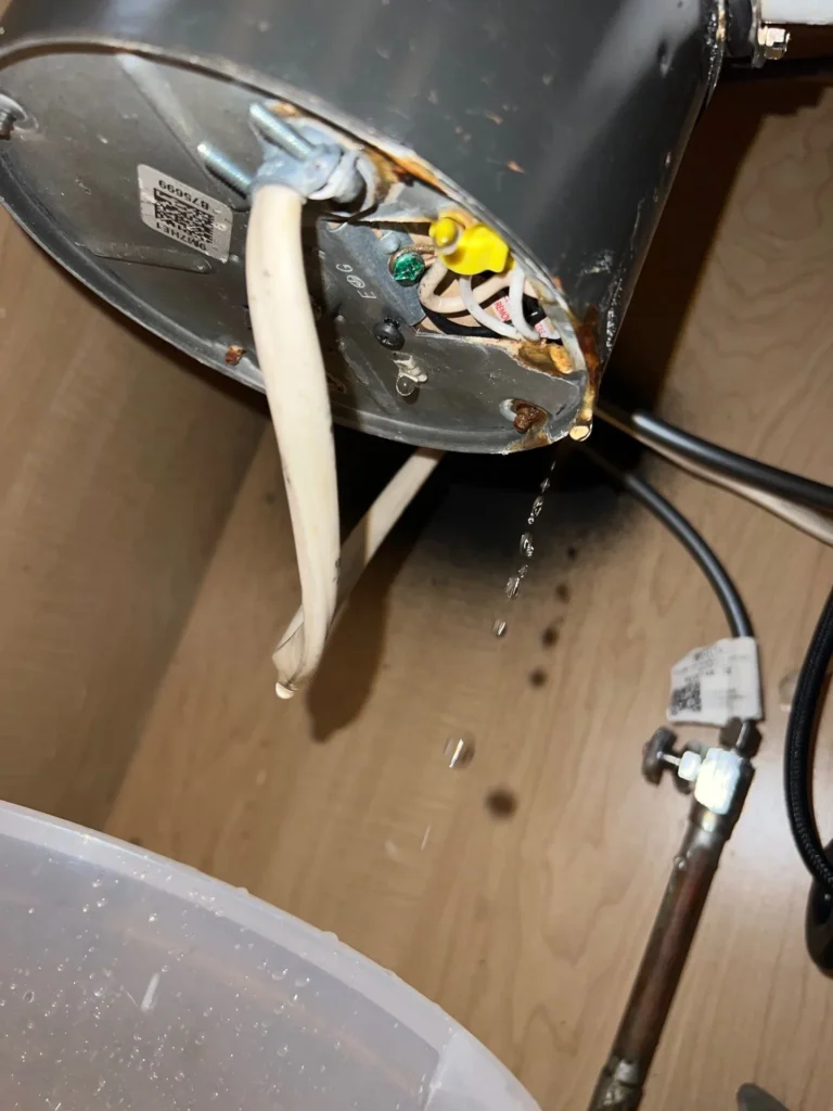 Garbage Disposal in Nashville
