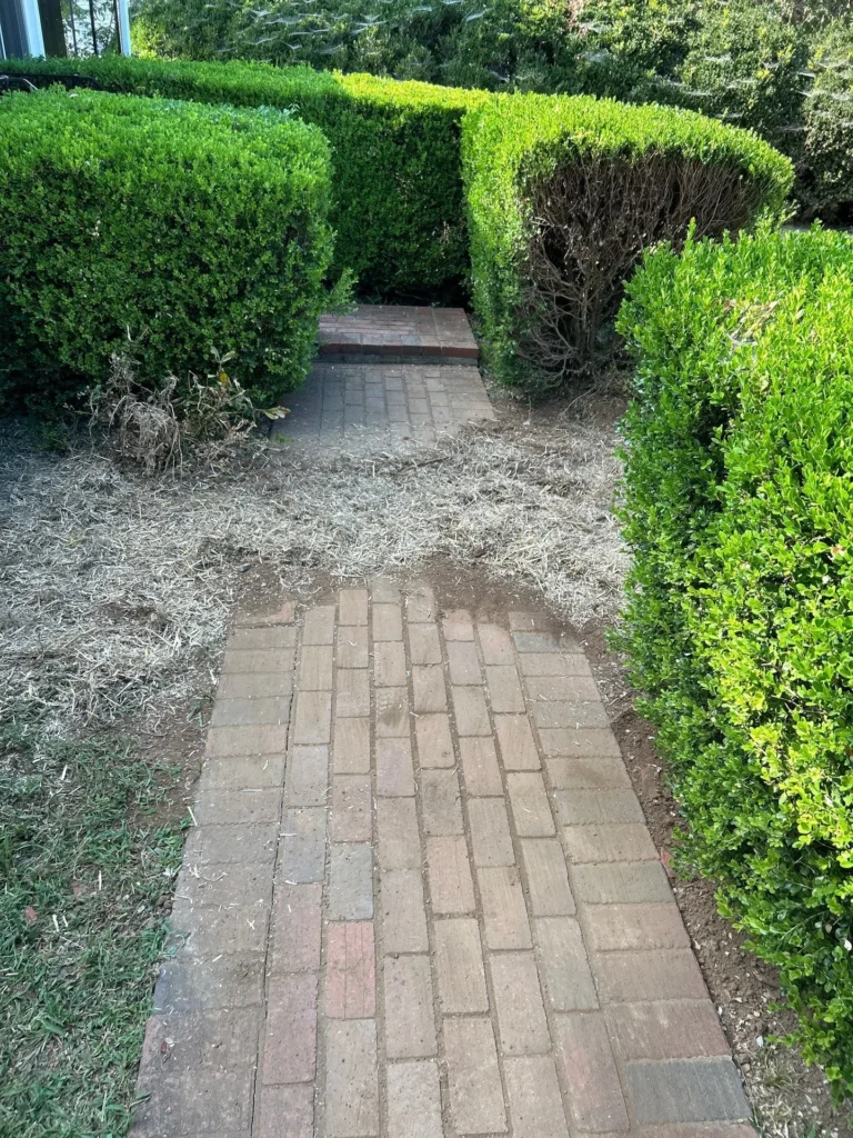 Drain Line Replacement in Nashville
