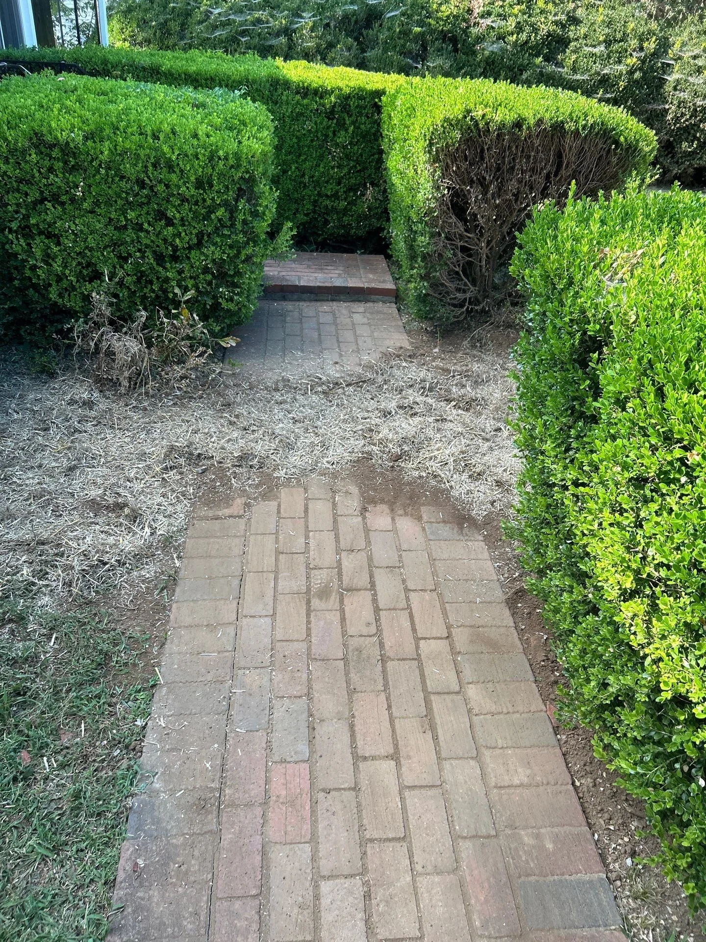 Sewer Line Replacement in East Nashville